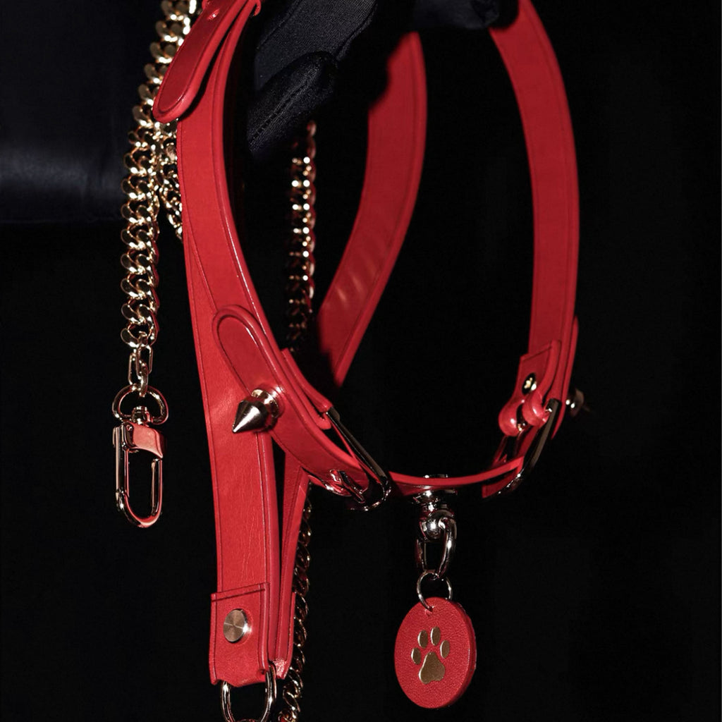 Red leather spiked choker and matching chain leash set – gold hardware cone rivets custom paw tag BDSM petplay
