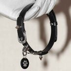 Black leather spiked choker held in white gloved hand – silver cone rivets buckle custom paw print tag pendant
