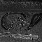 Flat lay arrangement of black leather collar strap, chain leash handle, spring O-rings, and silver hardware