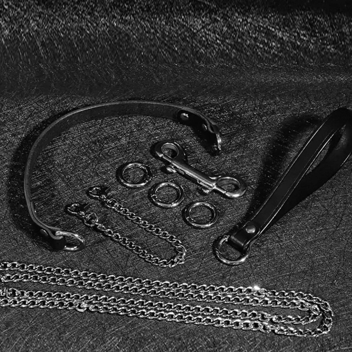 Flat lay arrangement of black leather collar strap, chain leash handle, spring O-rings, and silver hardware